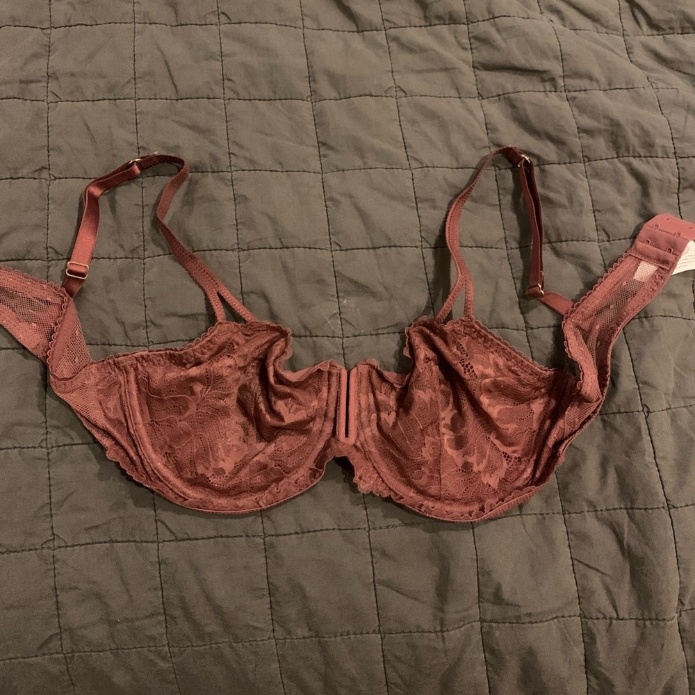 Auden Bra with Sheer Lace Details